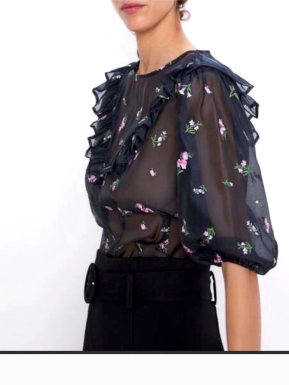 Whimsigoth Sheer Rose Top Small Balloon Ruffle Victorian Indie Kawaii Cottage